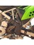 Motosiklet Çerçeve Yan Kapağı Çerçeve Koruma Kapağı Çerçeve Koruma Plakası Kawasaki KLX125 KLX150 Için Uygundur (Yurt Dışından) 4