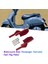 Vespa GTS300 Için Motosiklet Arka Yolcu Ayak Dayamaları (Yurt Dışından) 2