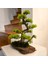 El Yapımı Bonsai Dekoru – Doğal Ağaç Kabuğu Tabanlı, Gerçek Yosunlu Yeşil Masa Üstü Ağaç 2