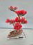El Yapımı Kare Epoksi Tabanlı Bonsai Dekor – Doğal Ağaç Modeli (Yeşil/kırmızı/turuncu) 1