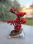 El Yapımı Kare Epoksi Tabanlı Bonsai Dekor – Doğal Ağaç Modeli (Yeşil/kırmızı/turuncu) 4