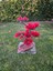 El Yapımı Kare Epoksi Tabanlı Bonsai Dekor – Doğal Ağaç Modeli (Yeşil/kırmızı/turuncu) 5