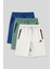 Standart Kalıp 3lü Paket Ekru-Parlament-Açık Yeşil Erkek Şort - 81136 1