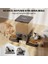 PFD-002 5 L Zaman Ayarlı Kedi ve Köpekler Için Ikili Otomatik Mama Kabı 3