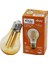 Elitled A-60 4W - E27 Gold Color Flament LED Rustik Ampul 500LUMEN Kırılmaz Gövde (5314) 1