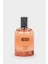 Erkek Mexico Aromatik 100 ml Parfüm D0565AXNS 1