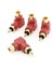 4 x Rca Erkek-Female Dik Açısı Sesli Video Adaptörü Kırmızı Altın Tonu (Yurt Dışından) 1