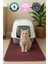 100X100 cm Bordo Kedi Tuvaleti Önü Paspası Kedi Kumu Paspası 1