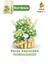 Panlos Boutıque Serisi Mini Çiçek Buketi 524 Parça Oyuncak Yapım Seti -FFP1091 1