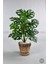 Yapay Monstera Deve Tabanı 65-70 cm Hasır2 2