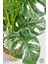 Yapay Monstera Deve Tabanı 65-70 cm Hasır2 6
