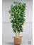 Yapay Bambu Ağacı 6 Dallı 150 cm Yoğun Yapraklı Hasır Saksı1 5