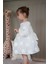 Kız Bebek Elbise Uzun Kollu Fiyonklu Güllü Doğum Günü Parti Düğün Özel Gün Abiye Kız Çocuk Elbise ALY1021 3