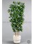 Yapay Bambu Ağacı 6 Dallı 150 cm Yoğun Yapraklı Kuple Saksıda 7