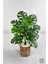 Yapay Monstera Deve Tabanı 65-70 cm Hasır1 2