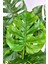 Yapay Monstera Deve Tabanı 65-70 cm Hasır1 7