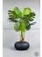 Yapay Monstera Ağacı 150 cm Bone Saksıda 1