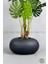 Yapay Monstera Ağacı 150 cm Bone Saksıda 2