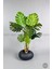 Yapay Monstera Ağacı 150 cm Bone Saksıda 3