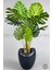 Yapay Monstera Ağacı 170 cm Bone Saksıda 1