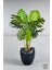 Yapay Monstera Ağacı 170 cm Bone Saksıda 3