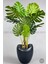 Yapay Monstera Ağacı 170 cm Bone Saksıda 5