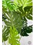 Yapay Monstera Ağacı 170 cm Bone Saksıda 7