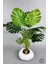 Yapay Monstera Ağacı 150 cm Bone Saksıda 3