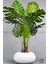 Yapay Monstera Ağacı 150 cm Bone Saksıda 4