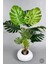 Yapay Monstera Ağacı 150 cm Bone Saksıda 5