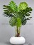 Yapay Monstera Ağacı 150 cm Bone Saksıda 6