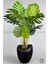 Yapay Monstera Ağacı 170 cm Bone Saksıda 1
