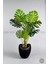Yapay Monstera Ağacı 170 cm Bone Saksıda 4