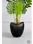 Yapay Monstera Ağacı 170 cm Bone Saksıda 5
