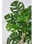 Yapay Monstera Deve Tabanı 65-70 cm Hasır3 5
