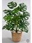 Yapay Monstera Deve Tabanı 65-70 cm Hasır3 7