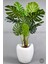 Yapay Monstera Ağacı 170 cm Bone Saksıda 1