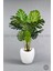 Yapay Monstera Ağacı 170 cm Bone Saksıda 3