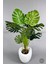 Yapay Monstera Ağacı 170 cm Bone Saksıda 5