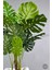 Yapay Monstera Ağacı 170 cm Bone Saksıda 6