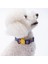 Ice Cream Dondurma Desenli Köpek Boyun Tasması Ayarlanabilir Köpek Tasması M Size (32-48CM Boyun Aralığı) 1