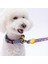 Ice Cream Dondurma Desenli Köpek Boyun Tasması Ayarlanabilir Köpek Tasması M Size (32-48CM Boyun Aralığı) 2