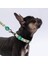 Avocado Avokado Desenli Köpek Boyun Tasması Ayarlanabilir Köpek Tasması M Size (32-48CM Boyun Aralığı) 2