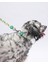 Avocado Avokado Desenli Köpek Boyun Tasması Ayarlanabilir Köpek Tasması M Size (32-48CM Boyun Aralığı) 5