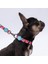 Balloons Balon Desenli Köpek Boyun Tasması Ayarlanabilir Köpek Tasması M Size (32-48CM Boyun Aralığı) 2