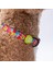 Monsters Canavar Desenli Köpek Boyun Tasması Ayarlanabilir Köpek Tasması M Size (32-48CM Boyun Aralığı) 2