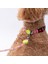 Monsters Canavar Desenli Köpek Boyun Tasması Ayarlanabilir Köpek Tasması M Size (32-48CM Boyun Aralığı) 3
