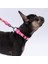 Rosea Camouflage Pembe Kamuflaj Desenli Köpek Boyun Tasması Ayarlanabilir Köpek Tasması M Size (32-48CM Boyun Aralığı) 2