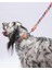 Mosaic Mozaik Desenli Köpek Boyun Tasması Ayarlanabilir Köpek Tasması M Size (32-48CM Boyun Aralığı) 4