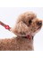 Wow Popart Desenli Köpek Boyun Tasması Ayarlanabilir Köpek Tasması M Size (32-48CM Boyun Aralığı) 2